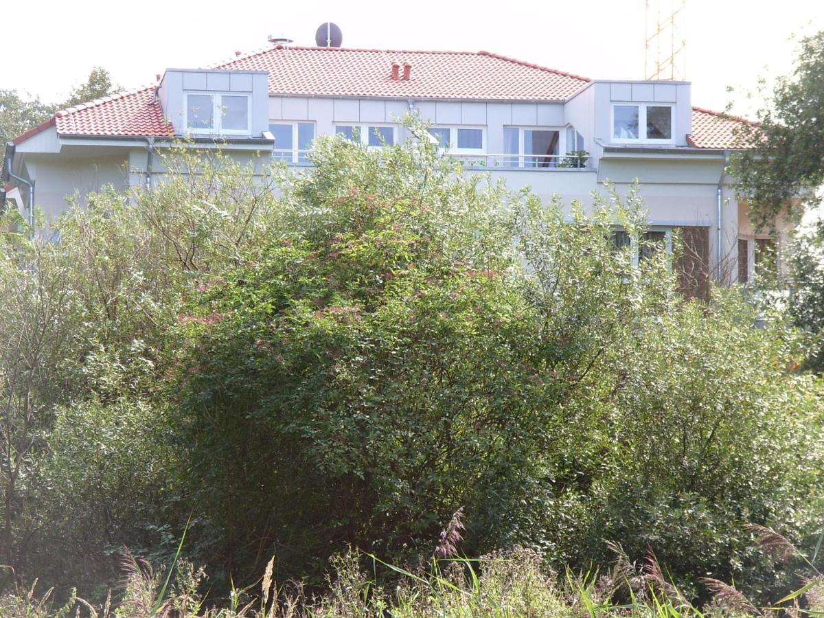 Ferienwohnung Meeresrauschen Graal-Mueritz Ngoại thất bức ảnh